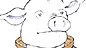 The Space Pig