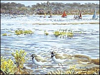 Ringed Plovers at Blakeney by Michael Warren