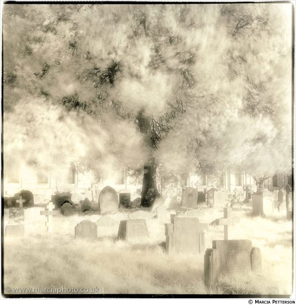 Photo by Marcia Petterson