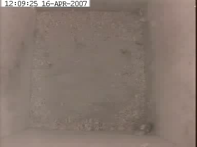 View inside BBC Devon nest box