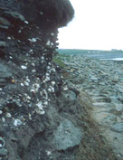 Photo of the cliff face at Westray