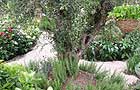 The Torres Tapas Garden