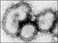Virus chřipky
