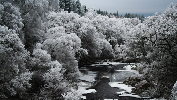 snow filled river and forest (pic courtesy of Alastair Smith)