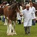 Royal Highland Show 2010