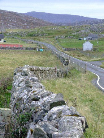 Scarista 2