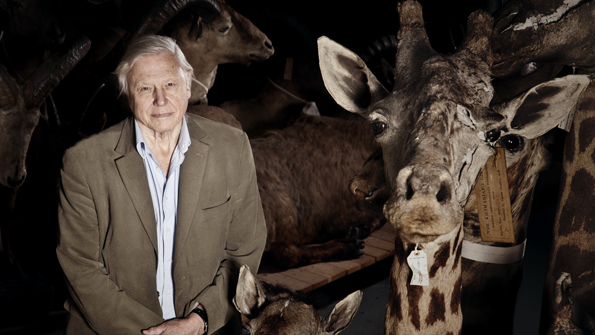 attenborough03-071212.jpg