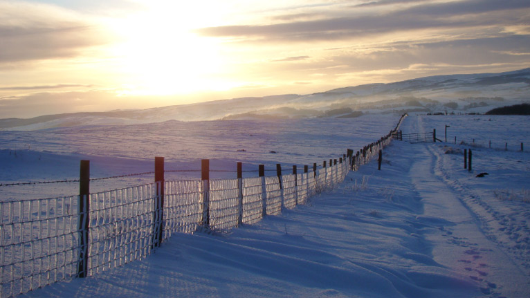 snow scene by Darren Bowen