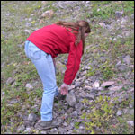 Looking for fossils