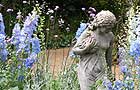 Midsummer garden