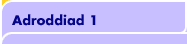 Adroddiad 1
