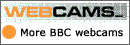 More webcams