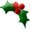 Holly