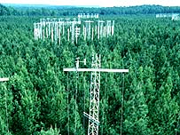Pylons in the Forest Canopy