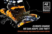 Devon wildlife trust poster of a butterfly