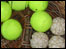 Real tennis balls