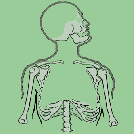 The Bones BBC World Service