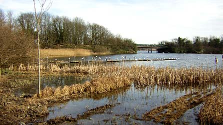 Cosmeston Lakes
