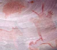 Un arall o ddarluniau'r brodorion