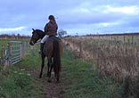 Horsewoman at gate