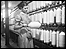 (c) Bolton Council, Bolton Museum and Archive