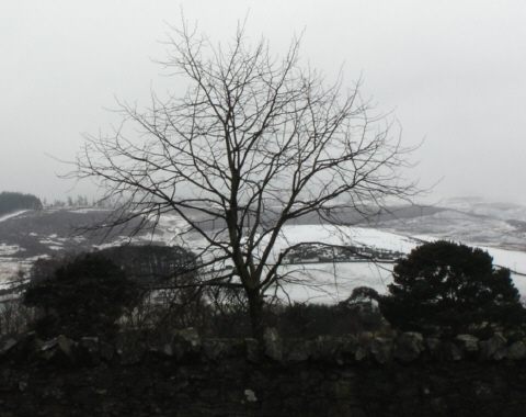 snow near Peebles