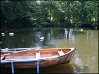 A boat in a pond