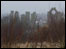 Arbraoth Abbey