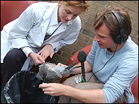 Jeremy Sallis plucking a pigeon