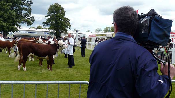 BBC camerman Colin Maclure films at the cattles lines.