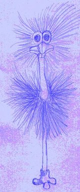 the fluffy pen thingy