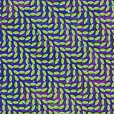 Review of Merriweather Post Pavilion