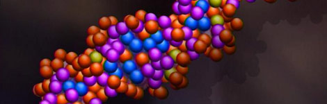 Human DNA