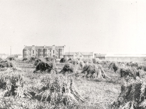 Small haystacks in a wide field with a tenement block and other buildings beyond.