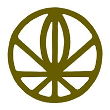 Review of Relayted Review of Relayted