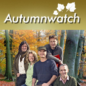 BBC Autumnwatch