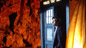 The Tenth Doctor