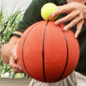 A tennis ball supported on top of a basketball