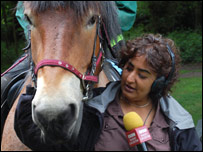 Rupal Rajani and Wilson the horse