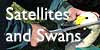 Satellites and Swans