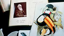 Darwin letters and drawings