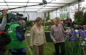 Filming a walkabout with Carol Klein