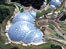 The Eden Project