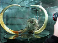 Expo 2005