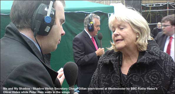 Cheryl Gillan and Peter Hain