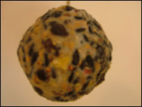 Home made bird feeder