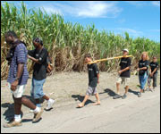 A plantation in Barbados.