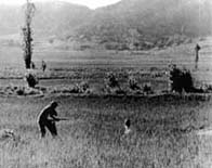 A Korean captured by a US soldier