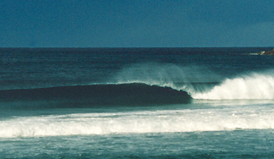 Manly Beach