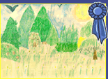 Image of a forest scene